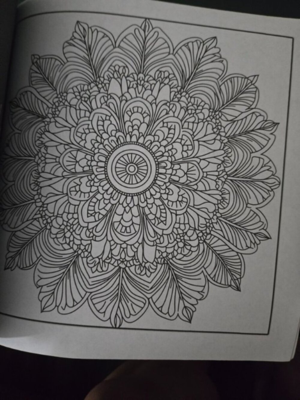 Intricate Mandalas Adult Coloring Book Alan Ritchie New Relaxation Meditation - Picture 8 of 8